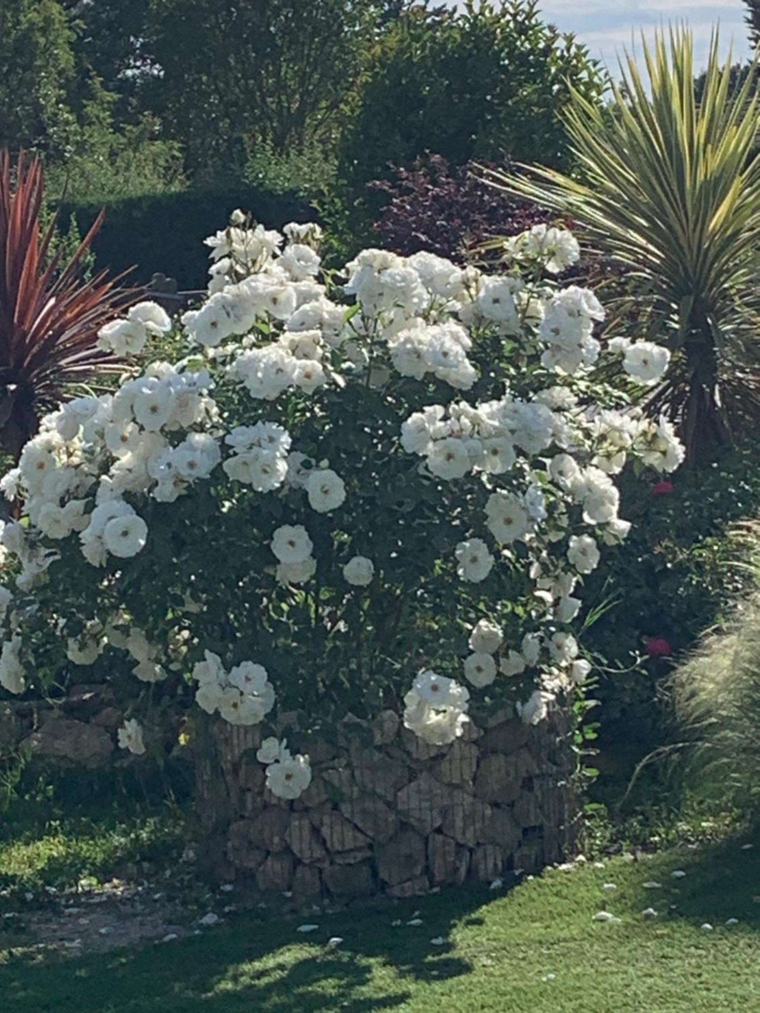 Brossard Bed & Breakfast Cavaillon Bagian luar foto
