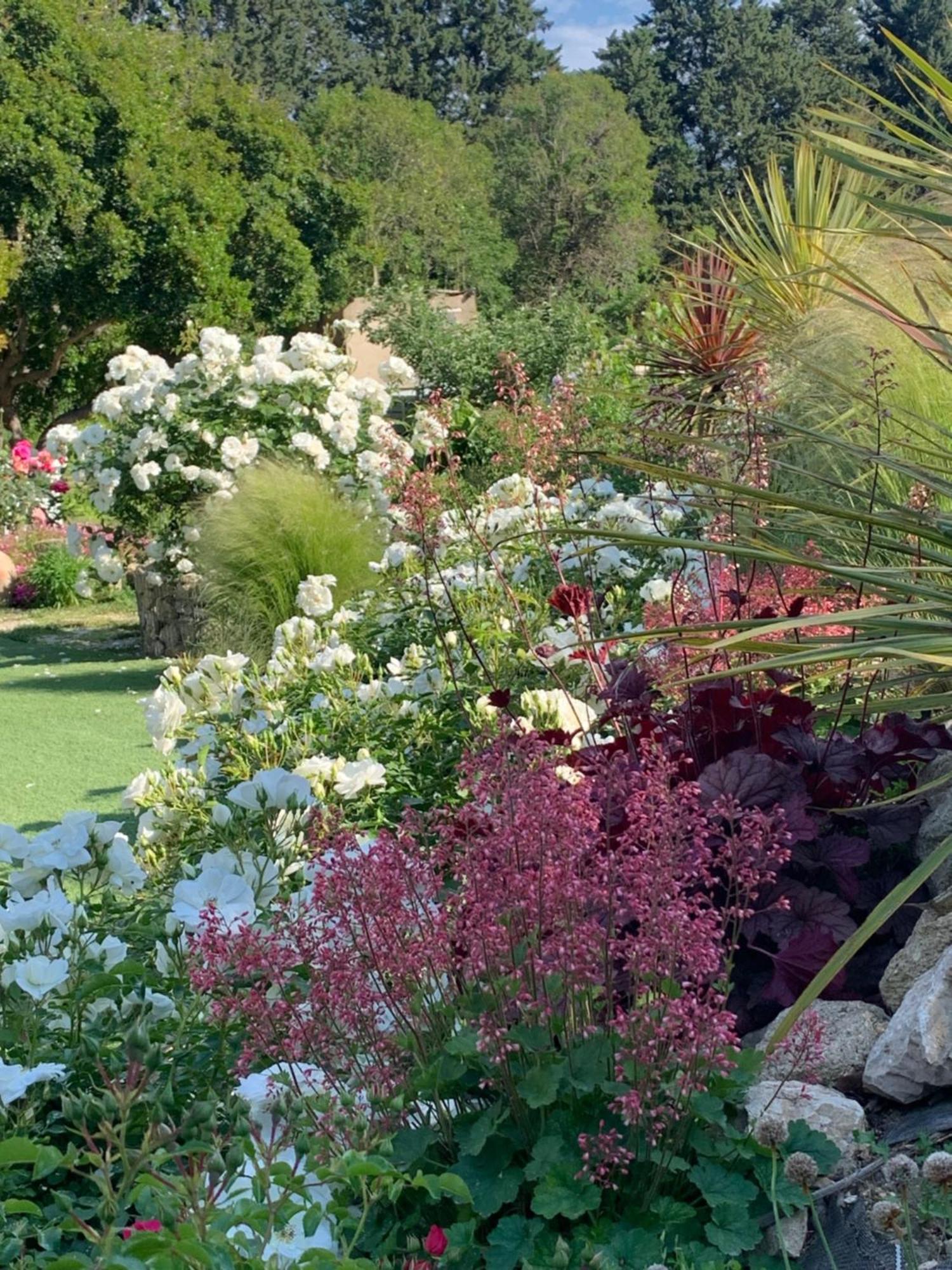 Brossard Bed & Breakfast Cavaillon Bagian luar foto