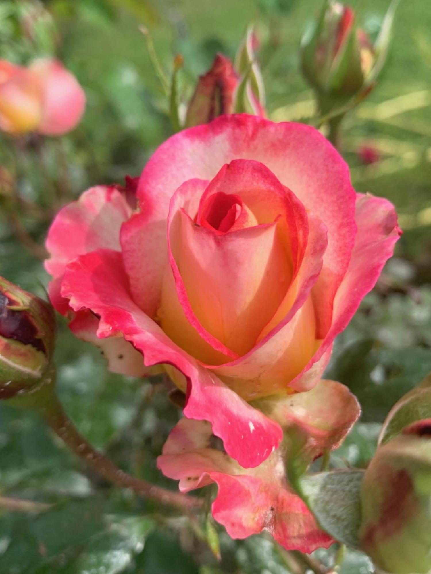 Brossard Bed & Breakfast Cavaillon Bagian luar foto
