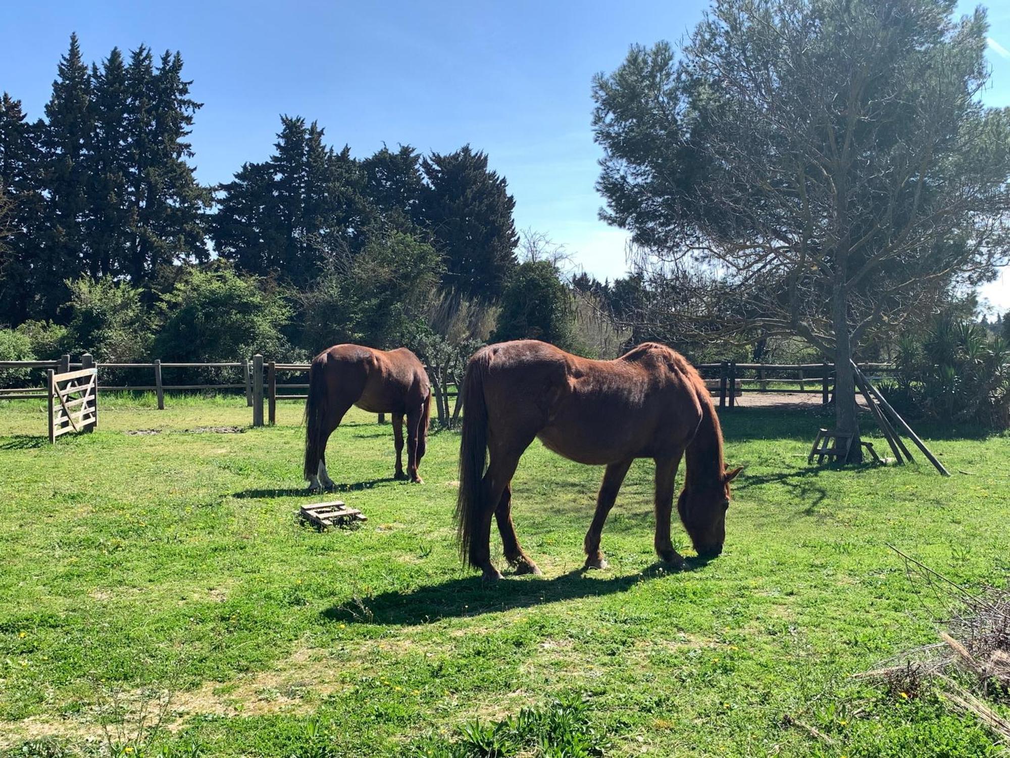 Brossard Bed & Breakfast Cavaillon Bagian luar foto