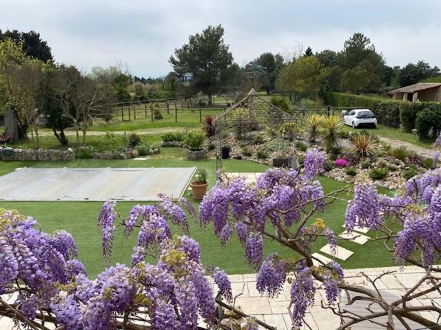 Brossard Bed & Breakfast Cavaillon Bagian luar foto
