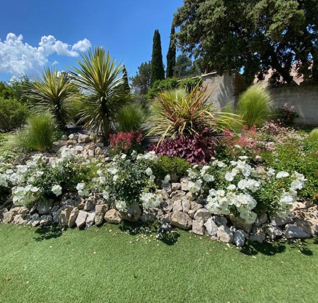 Brossard Bed & Breakfast Cavaillon Bagian luar foto